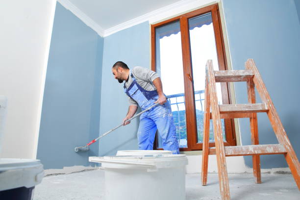 Best Residential Painting  in Newark, NY