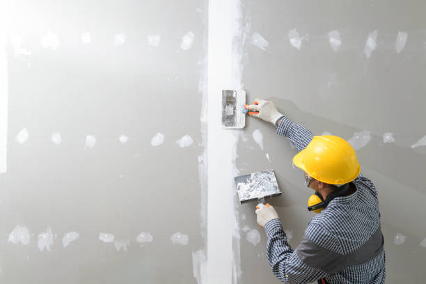 Best Acoustic or Soundproof Drywall Installation  in Newark, NY